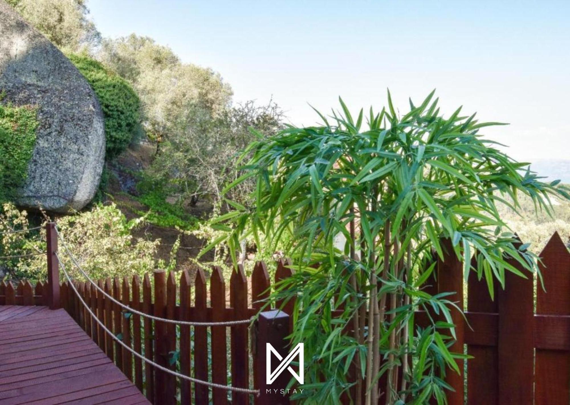 Mystay - Casa Oliveirinhas By Refugio Ao Luar Celorico De Basto